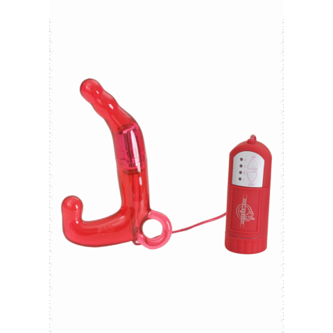 Pleasure Wand voor Mannen