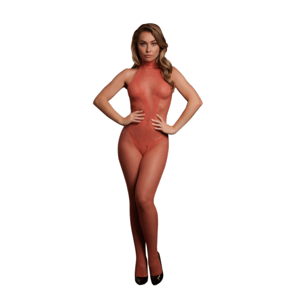 Visnet en kant bodystocking - Eén maat