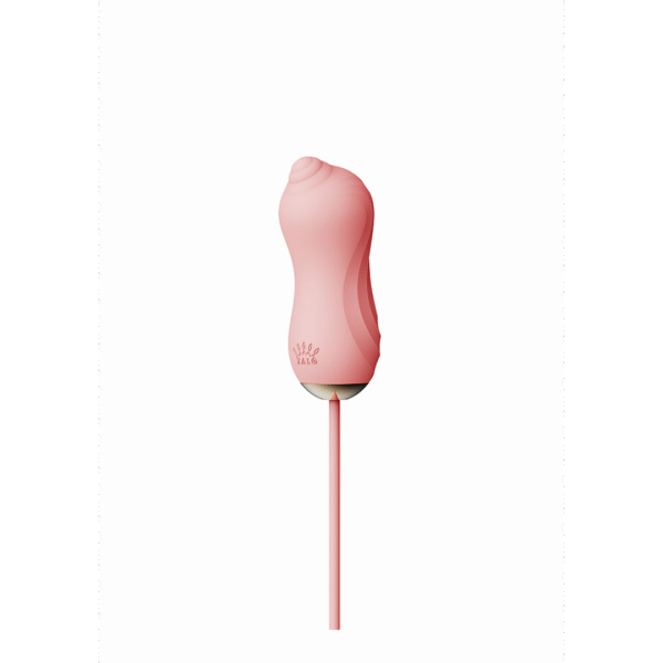 Sucking Vibrator with Pump and Different Attachments - Afbeelding 3
