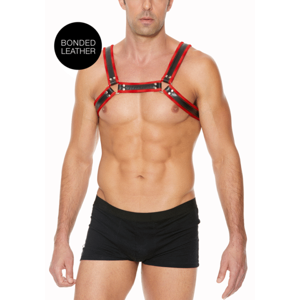 Leren Bulldog Harnas met Gespen - S/M