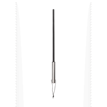 Cane met RVS Handvat