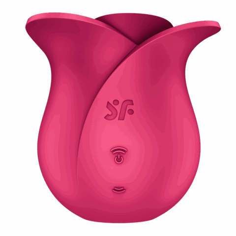Pro 2 - Modern Rose - Air Pulse Vibrator