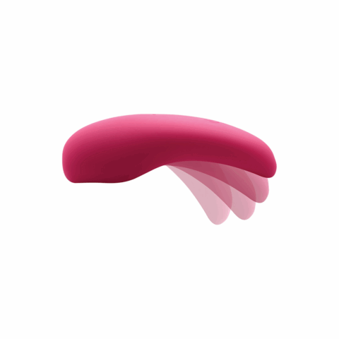 Speelse Panty's - Vibrerende Panty's met Afstandsbediening