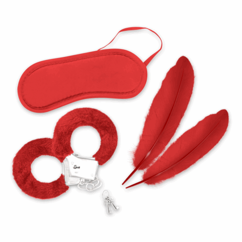 Lover's Dream - 4-delige Bondage Kit voor Beginners - Rood