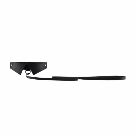 Exclusieve Halsband  Leash