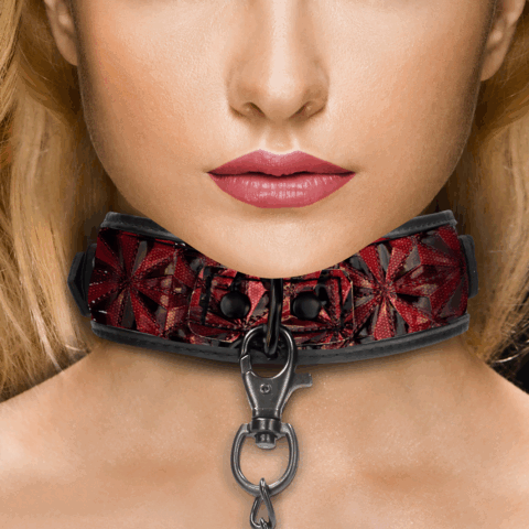 Halsband met Leash