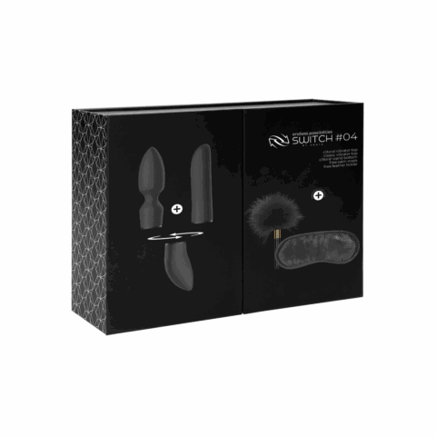 Pleasure Kit #4 - Vibrator with Different Attachments