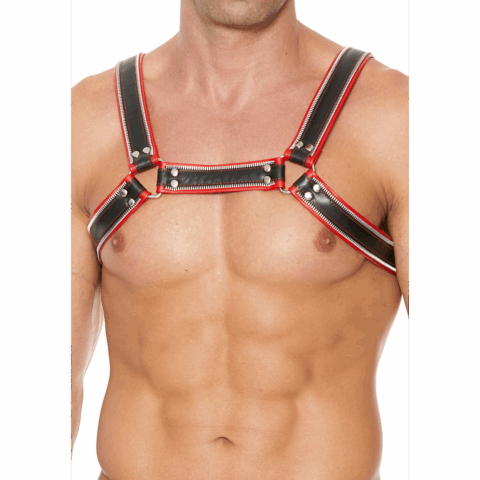 Z Series Chest Bulldog Harness - L/XL