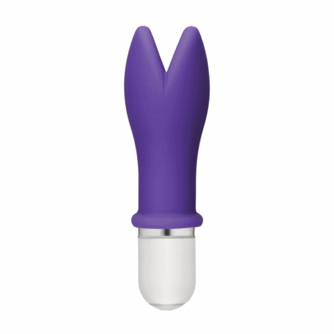American Pop - Whaam! - 10 Function Vibrator