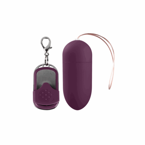 Vibrerende Ei met 10 Snelheden en Afstandsbediening - L - Paars