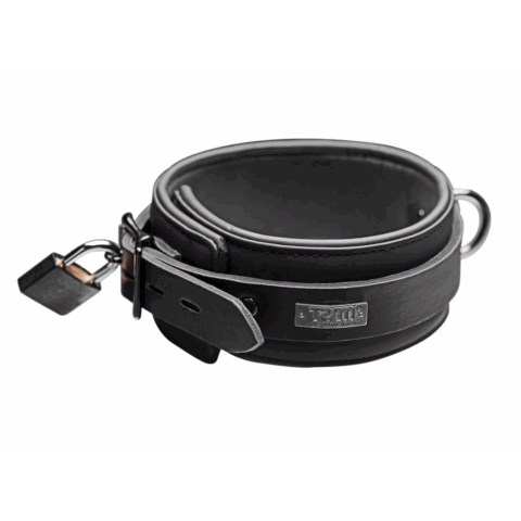 Neopreen Halsband met Slot