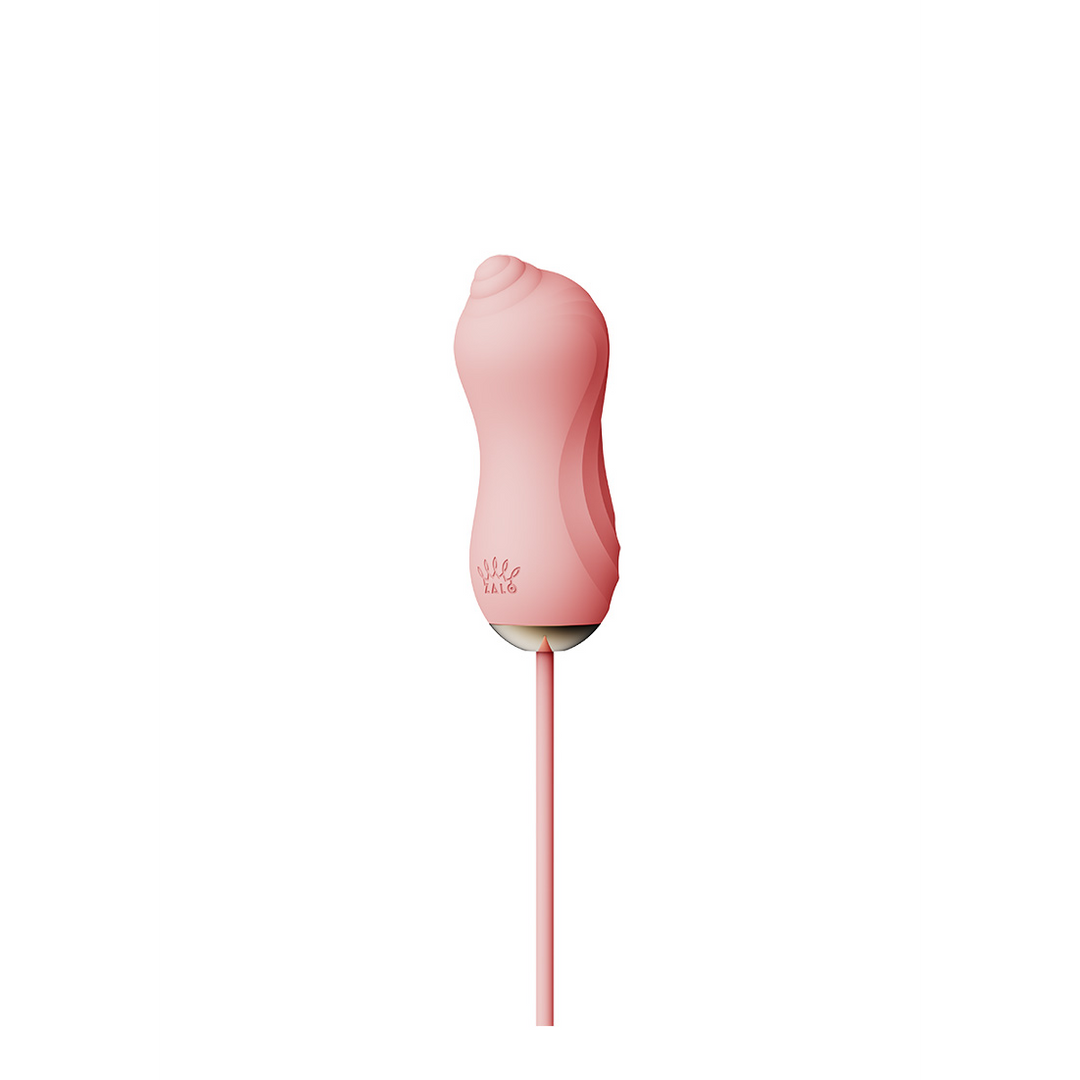 Sucking Vibrator with Pump and Different Attachments - Afbeelding 3