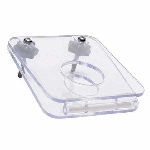 Penis en Balls Crusher