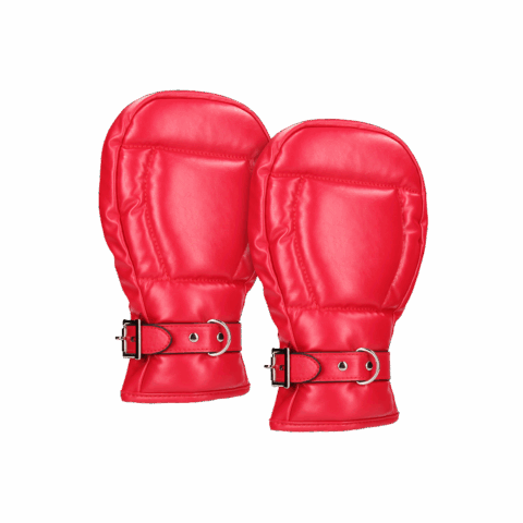 Neopreen Hondenhandschoenen