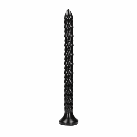 Schaal Anal Snake - 16''/ 40 cm