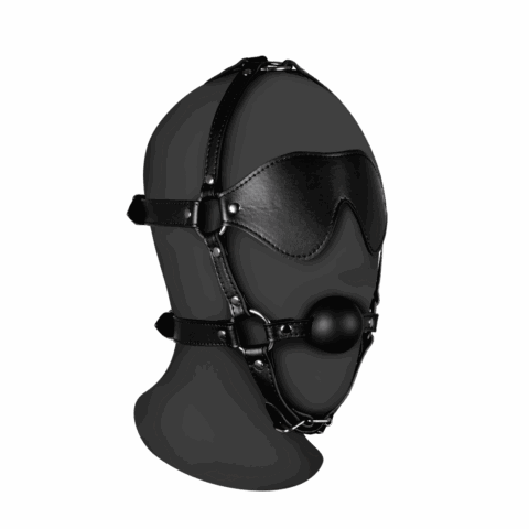 Blindfolded Head Harness met Solid Ball Gag - Zwart