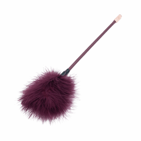 Veer Gereedschap - Paars