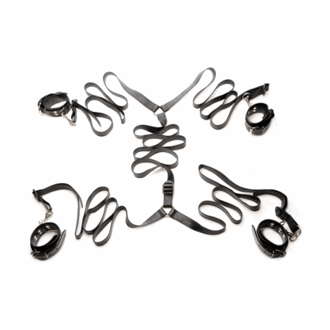 Lederen Bedbeperkingsset