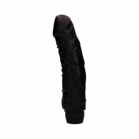 Perfect Pleasure - Multispeed Vibrator - 9 / 22 cm