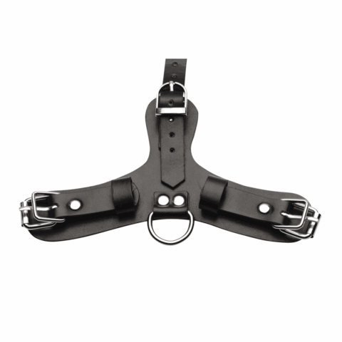 Pup - Puppy Speelmasker + Ademend Ballgag