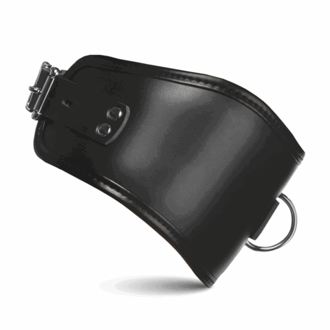 Hard Stance - Gevoerde Vergrendelbare Houdingskraag - Zwart