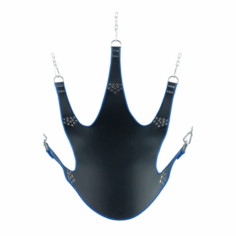 Leren Band met Blauwe Bies 5 Punten