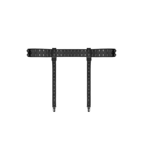 Garter Belt with Skulls