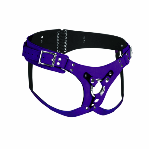 Bodice Deluxe - Leren Korset Harnas - Paars