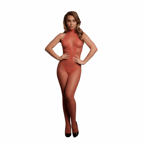 Visnet en kant bodystocking - Eén maat