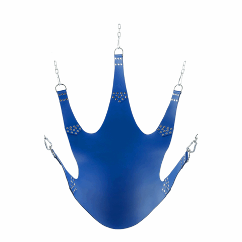 Lederen Sling met 5 Punten