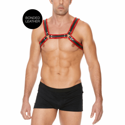 Leren Bulldog Harnas met Gespen - S/M