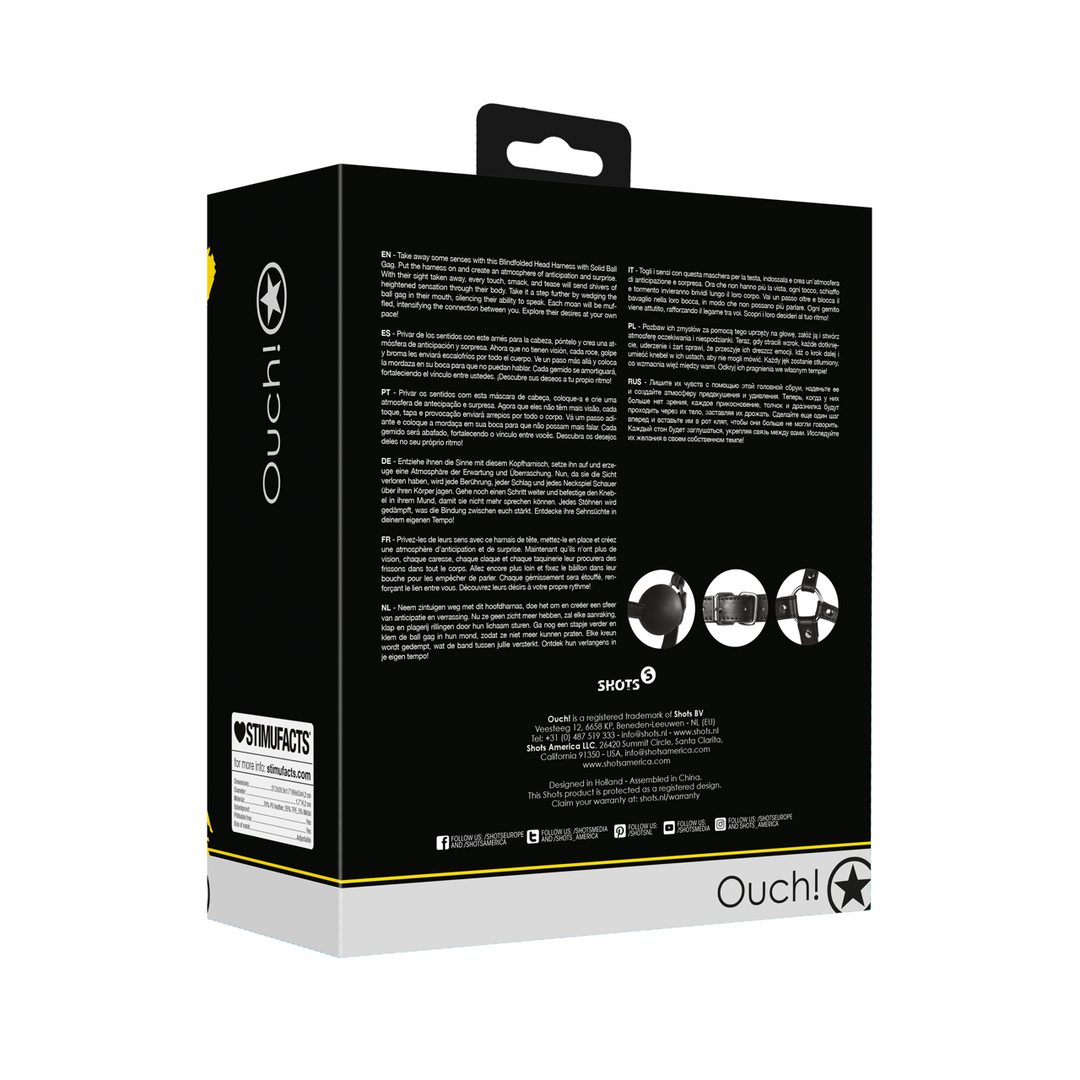 Blindfolded Head Harness met Solid Ball Gag - Zwart - Afbeelding 3