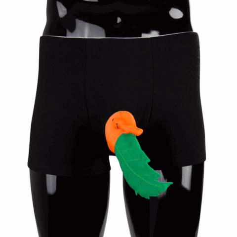 Grappige Onderbroek - Leaf