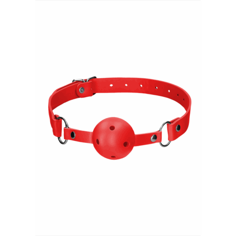 Ball Gag