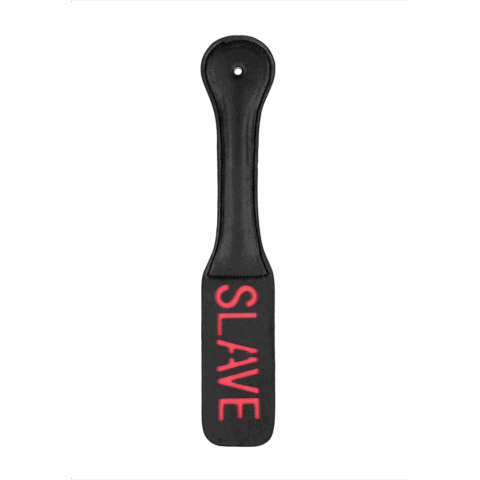 Paddle SLAVE