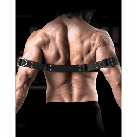 Bicep Bender - Bovenarmbinders