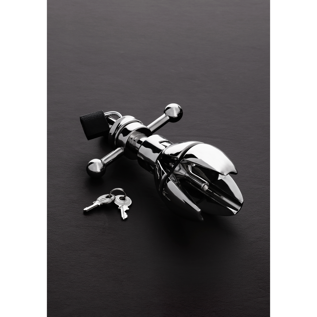 De Ultimate Asslock - Afbeelding 3