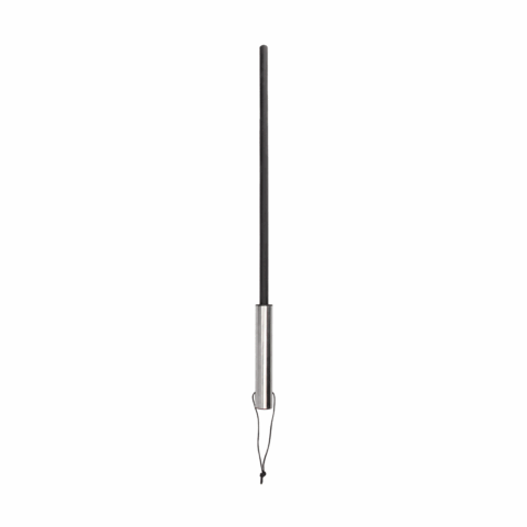 Cane met RVS Handvat